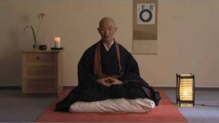 Zen  Posture  Introduction to zen practice part 21 Taigen Shodo Harada Roshi [upl. by Neelram]