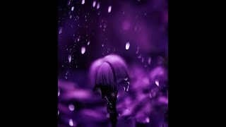 Coloured Vision – Violet Rain Reactivate 9  38 [upl. by Ecyle]