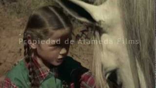 El potro salvaje trailer original The wild horse original trailer [upl. by Ryley918]