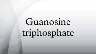 Guanosine triphosphate [upl. by Jeroma967]