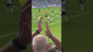 James Maddison goal celebration after his goal at the Tottenham v Brentford game [upl. by Carman]