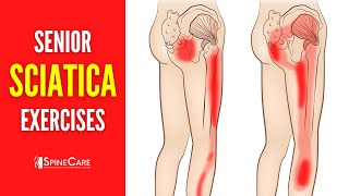 EASY Sciatica Pain Relief Exercises for Seniors [upl. by Barcus]