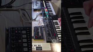 Roland P6 Sampler Drums and Voice  JD08  Behringer Solina  SH01A Roland synthwave music [upl. by Ano]