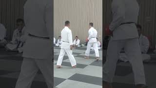 pertarungan kumite [upl. by Llecrad590]