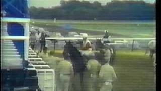 1975  Ruffian vs Foolish Pleasure  The Great Match Race CBS Sports  Part IV [upl. by Onra]