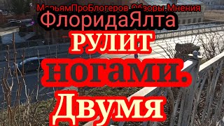 ФлоридаЯлтаПутешествие прошло в переездах из одного хостела в другой [upl. by Westney980]