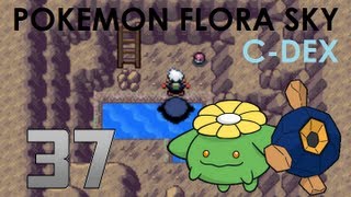 Pokémon Flora Sky CDex Walkthrough Part 37 Joltik Makes a Good Slave [upl. by Gardal]