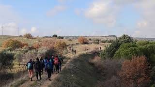 3000 km sulla Via Francigena da Canterbury a Santa Maria di Leuca [upl. by Ocsecnarf60]