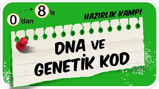 DNA ve Genetik Kod 📗 0dan 8e Hazırlık Kampı 2024 🚀 [upl. by Ark318]