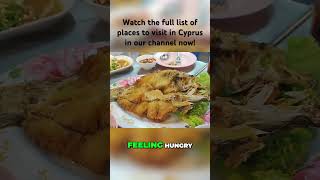 Experience Ayia Napa Nightlife beaches and more Things to do in Cyprus Watch our latest video [upl. by Scoles]