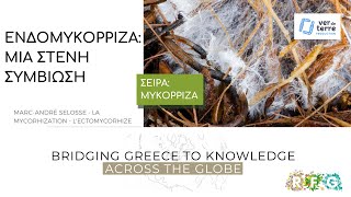 Μυκόρριζα 2 Ενδομυκόρριζα μία στενή συμβίωση [upl. by Graybill]