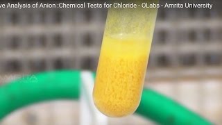 Chemical Tests for Chloride  MeitY OLabs [upl. by Sparhawk]