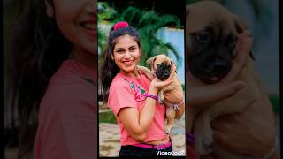 එමාෂාගේ ලස්සන කුක්කු පැටව් 🐕🦮🐕‍🦺 emasha hans with dogs [upl. by Vesta]