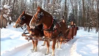 SLEIGH RIDE amp CHRISTMAS CAROLS 🎄🎄 Horse Drawn Sleigh Ride amp Family Fun 420 [upl. by Jeralee]