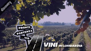 VINI in Lombardia ProntiPartenzaVia discovery [upl. by Assenej]