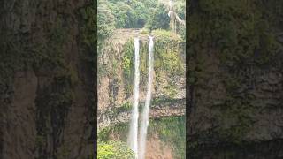 Chamarel waterfalls in Mauritius travel nature naturelovers naturephotography youtubeshorts [upl. by Alyhs]