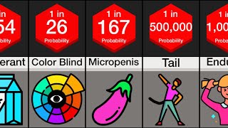 Probability Comparison Human DNA [upl. by Adnolehs]