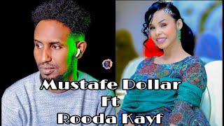 MUSTAFE DOLAR FT ROODA KAYF 2025 TANI HEES WAY DHAAFTAY PEST SONG MUSIC [upl. by Etnaed521]