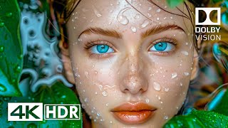 Dolby Vision 4K HDR 60fps  4K Video ULTRA HD [upl. by Safoelc611]