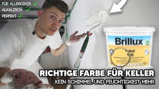 Kein Schimmel mehr durch diese Farbe Keller richtig streichen mit Brillux Silikatfarbe [upl. by Mendelson]