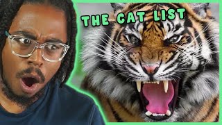 REACTING THE THE CAT TIER LIST TIER ZOO REACTION [upl. by Debo461]