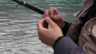 Pesca trote piave tecnica rodolon [upl. by Alyks601]