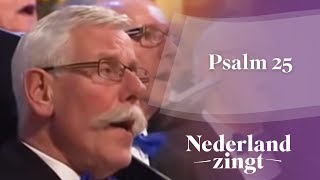 Nederland Zingt Psalm 25 [upl. by Cilo470]