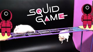 Squid Game vs Hamsters  Glass bridge  Red Light Green Light  Marbles and All Amazing Challenges [upl. by Zedekiah]