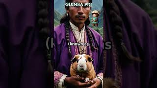 GUINEA PIG FUN FACT animalsshorts fun FACT [upl. by Davin]