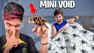 TROLEI O MINI VOID COM 10000 ARANHAS NA CAMA Deu ruim [upl. by Arakat]