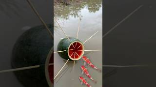 Survival Skills Single mom with watermelon fish trap survival camping bushcraft fish [upl. by Breana940]