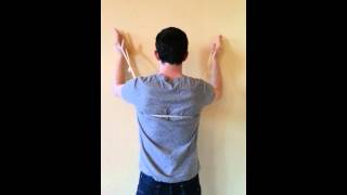 Wall slides for serratus anterior [upl. by Leumel]