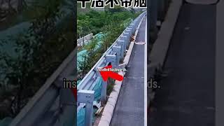 Chinas dangerous corner cutting [upl. by Drol]