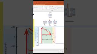 Refractory periods in cardiac muscle Cardiac Cycle l1st Year MBBS youtubeshorts youtube ytshorts [upl. by Will]