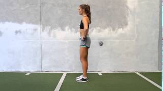 Bodyweight Alternating Reverse Lunges [upl. by Akemrej704]