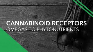 Cannabinoid Receptors From Omegas to Phytonutrients [upl. by Naerad]