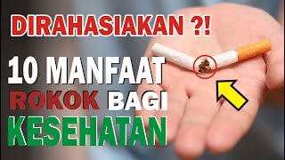 Rahasia  10 Manfaat Rokok yang Disembunyikan Para Ilmuwan amp Pemerintah bagi Kesehatan [upl. by Ttenaj]