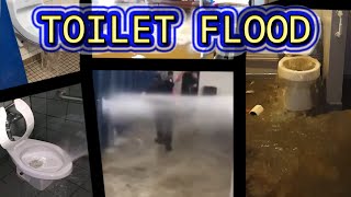 TOILET FLOOD COMPILATION [upl. by Ricard]