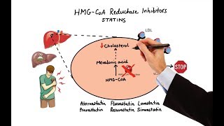 Pharmacology  DRUGS FOR HYPERLIPIDEMIA MADE EASY [upl. by Leilani672]