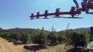 Prepruning machines for orhards ModPFSV5 Prepodadora de Discos Compacta Mod PFSV5 [upl. by Nica]