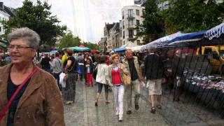 rommelmarkt en vogeltjesmarkt in Antwerpen [upl. by Isbel]