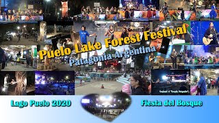 Fiesta del Bosque Lago PUELO 2020  Puelo Lake Forest Festival Patagonia Argentina 🇦🇷 Full HD 🎆 [upl. by Pembroke870]