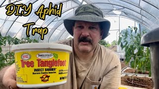 DIY Aphid Trap [upl. by Arahsat121]