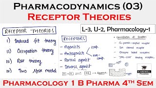 Receptors pharmacology  Receptor theories and Classification of receptors  L3 U2  Pharmacology [upl. by Genesia]