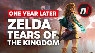 Our Thoughts on Zelda TOTK One Year Later [upl. by Adnohser]