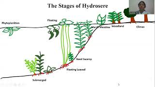 Plant Succession [upl. by Bajaj]