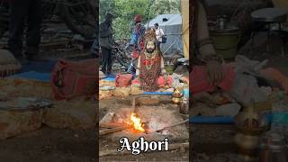 Aghori  Aghori music  Aghori Song  Shamshan Aghori Rap  shorts viral aghori mahadev short [upl. by Neelya]