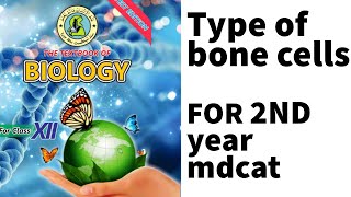 Bone cell Osteoblast l Osteocytes l Osteoclast l Sindh text Braod Book l for 2nd year and Mdcat [upl. by Kendy121]