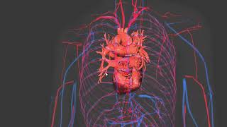 CIRCULATION  ENHANCED BLOOD  VERICOSE TREATMENT  MORPHIC FIELD [upl. by Stefania]