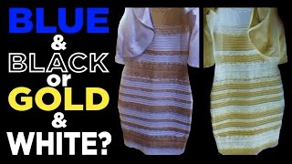 What color is THE DRESS Blue amp Black or White amp Gold TheDress [upl. by Surad]